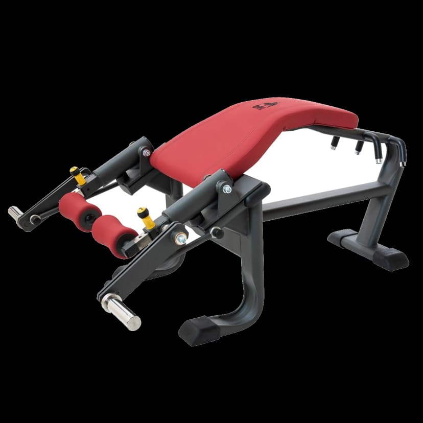 Leg curl allongé (Plate Loaded)